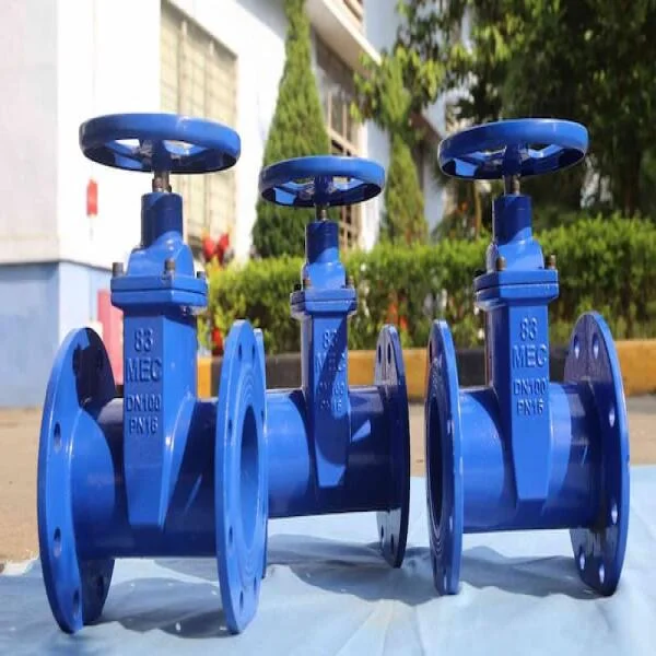 DN100 valve