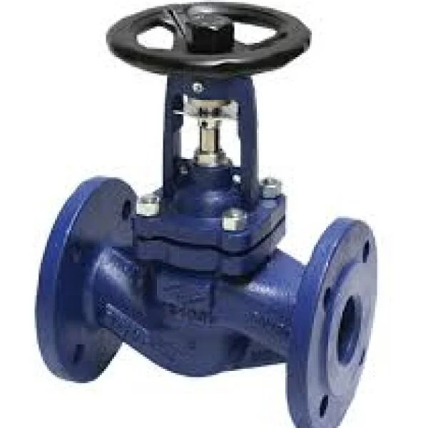 Globe valve DN40