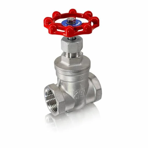 Globe valve stainless steel