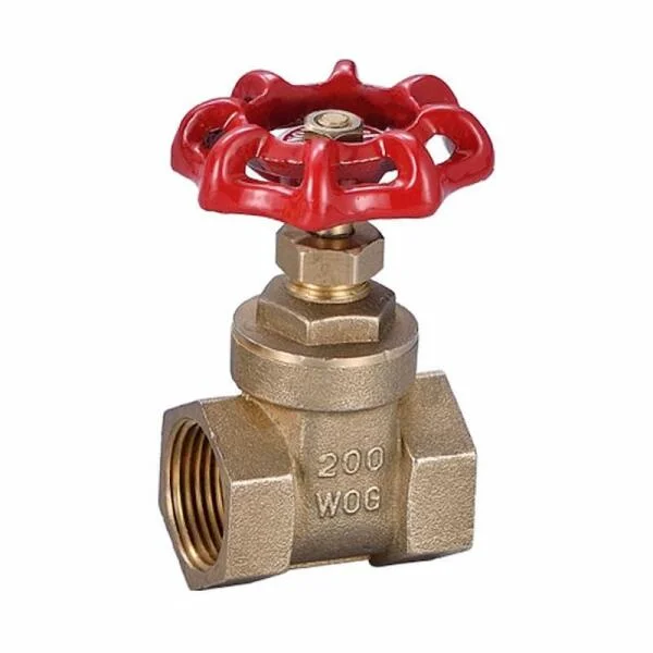 Gs valve