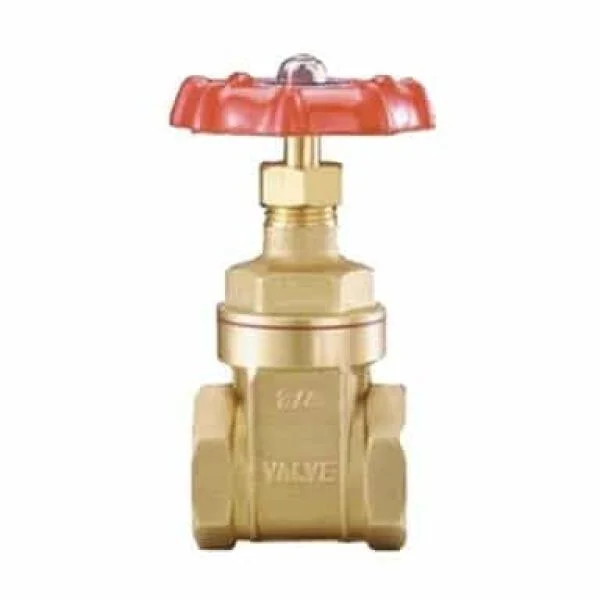 Van cổng DN25