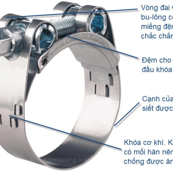 Cổ dê Norma