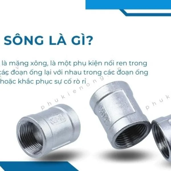 Măng sông