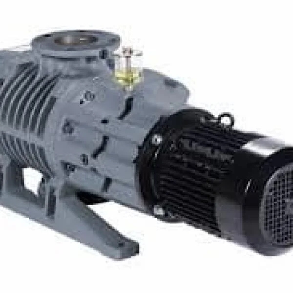 Dry pump