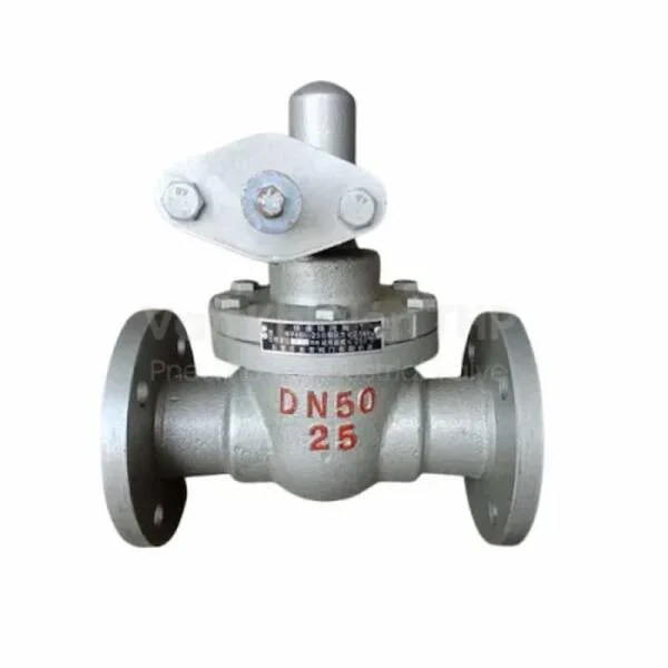 Main drain valve