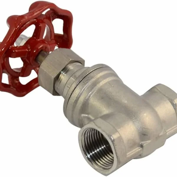 SS316 gate valve