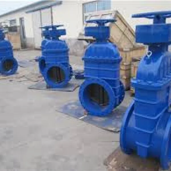 Valve 24