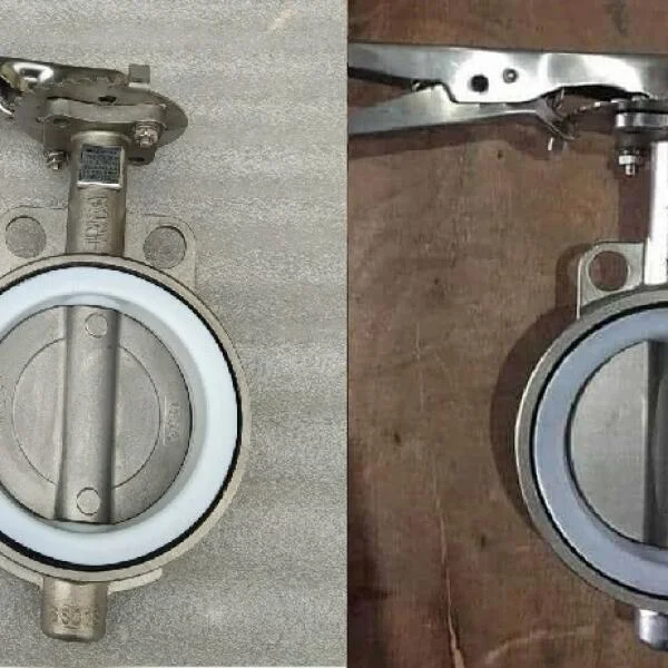 Van Bướm DN50
