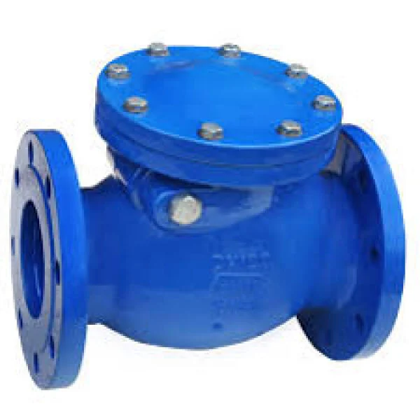 Swing valve là gì?