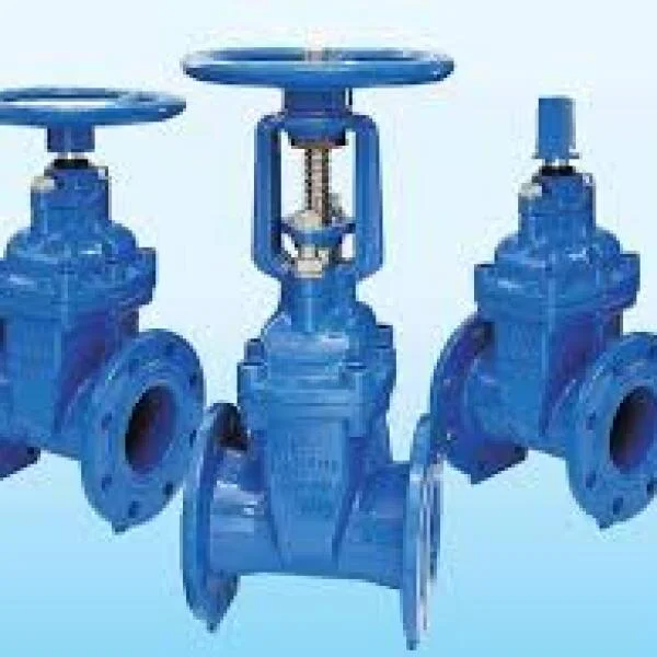 Tìm hiểu về van cổng d100