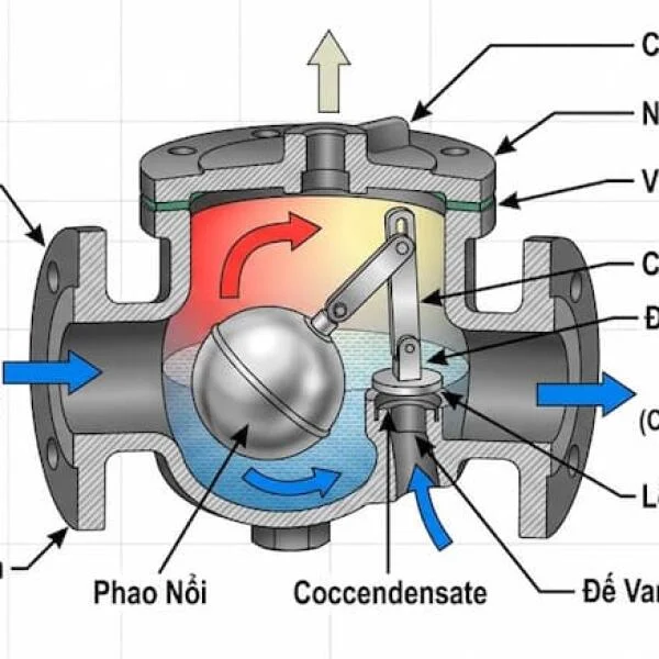 Water trap valve là gì? Cấu tạo, nguyên lý và cách chọn đúng