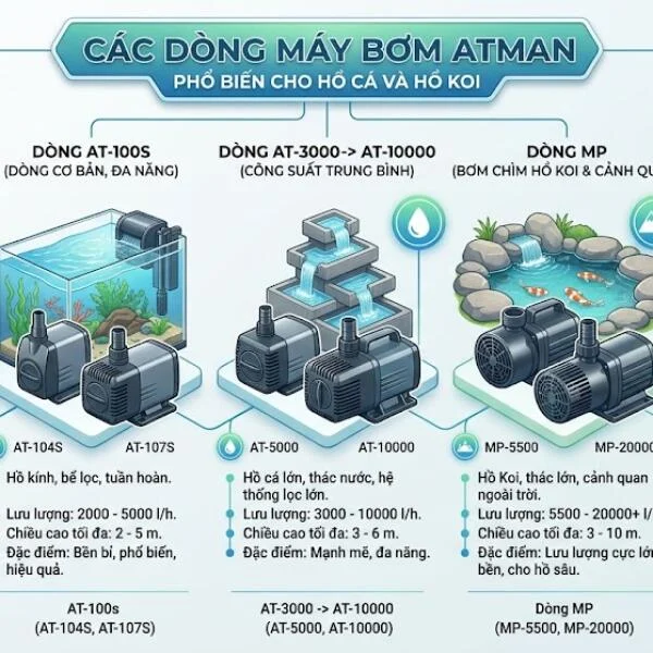 Các dòng máy bơm Atman phổ biến: AT, MP, HAS và cách lựa chọn