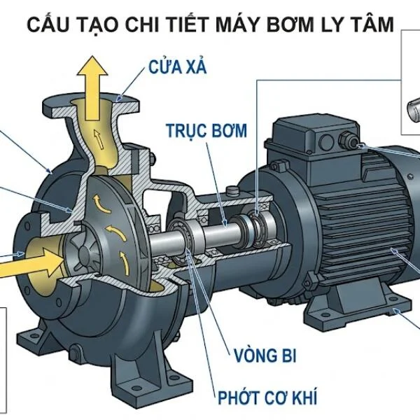 Máy Bơm Nước Giá Bao Nhiêu Tiền? Bảng Giá Tham Khảo Mới Nhất