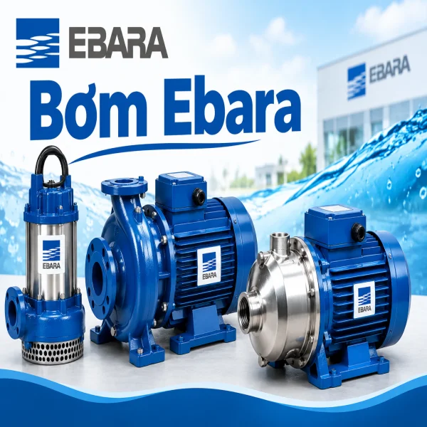 Tìm hiểu thông tin về bơm Ebara
