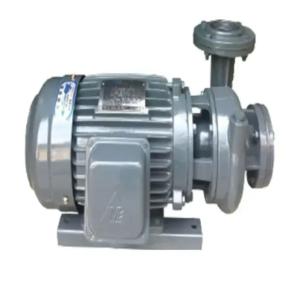 Bơm nước Teco 1HP