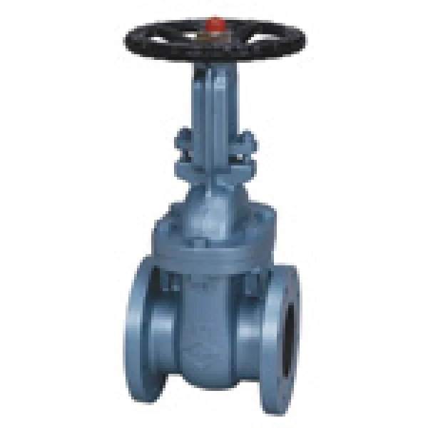 Cast Iron Gate Valve