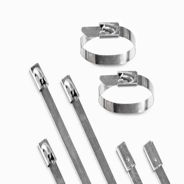 Đai inox