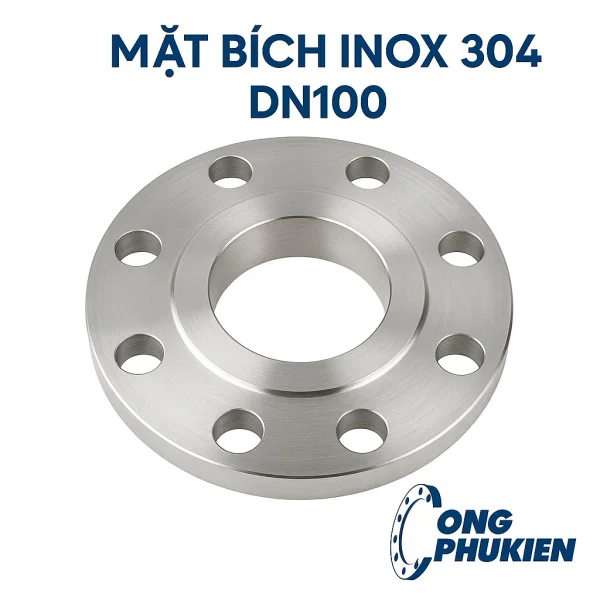 DN100