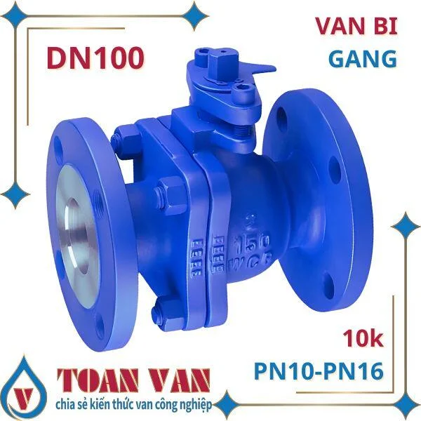 DN100 PN10