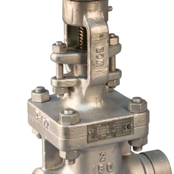 Gate Valves For Steam