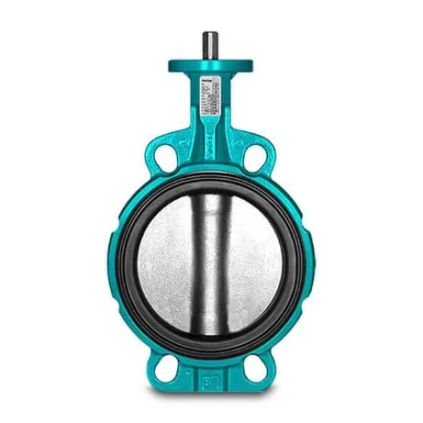 Interapp Valve