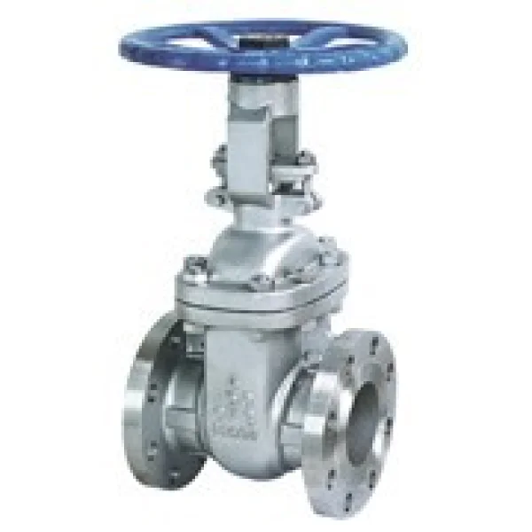 Gate valve ss 304