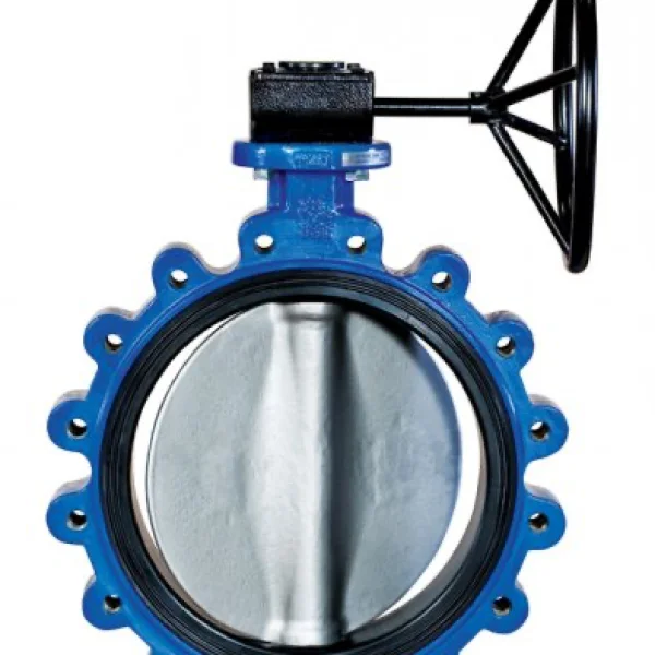Lug type butterfly valve