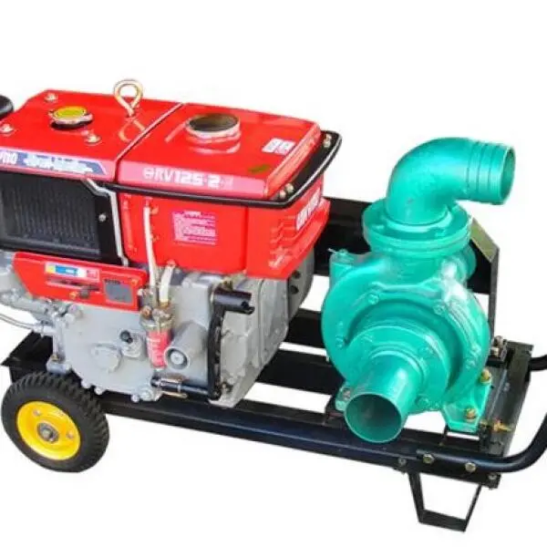 Máy bơm nước đầu nổ D15