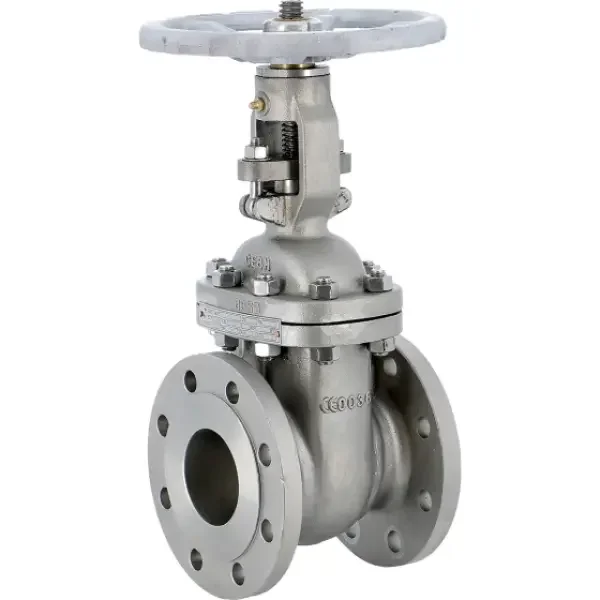 Gate valve CF8M