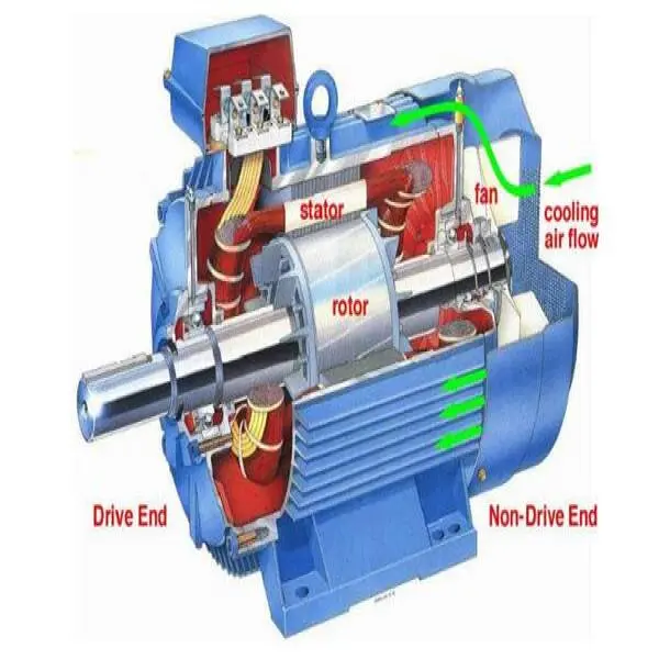 Motor 1 pha 3 dây