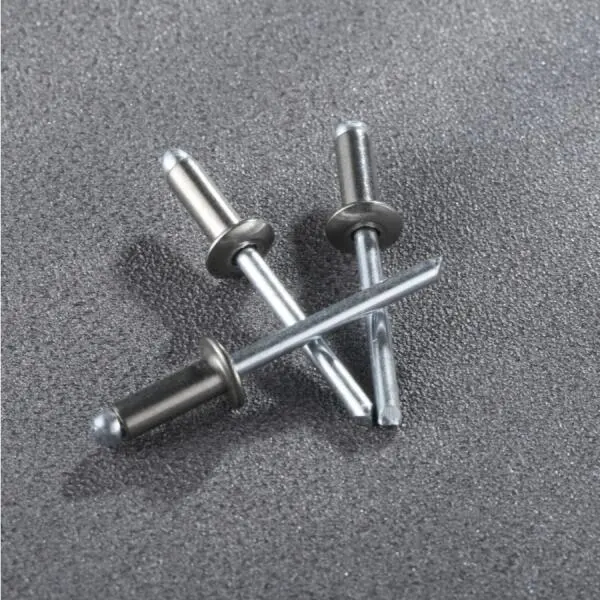 Rivet inox