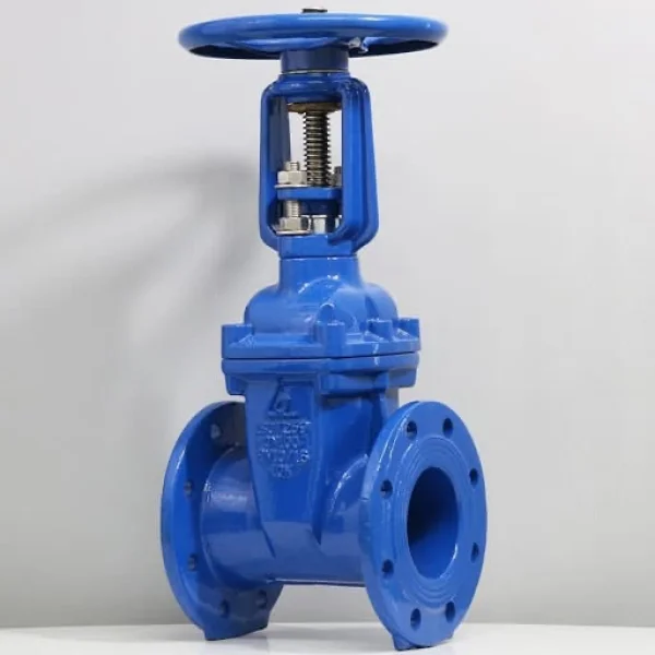 Sản phẩm van cổng D50