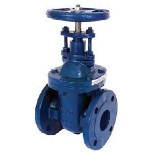 Valve dn65 là gì?