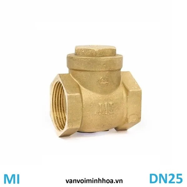Van 1 Chiều DN25