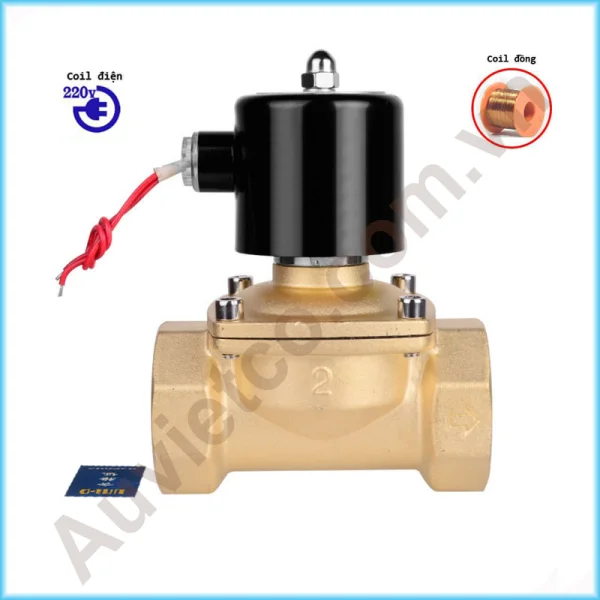 Van điện từ phi 60 220v