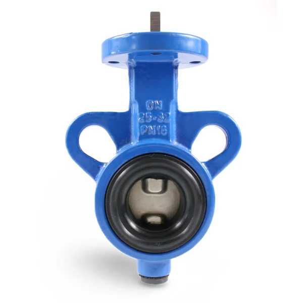 Butterfly valve DN25