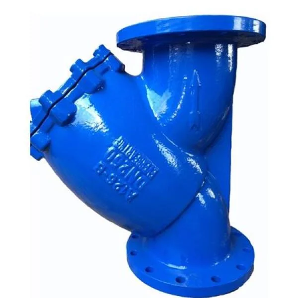 Y lọc DN80: Giới thiệu