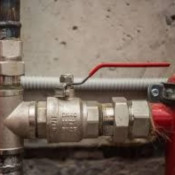 Water shut off valve
