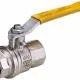 BSP valve