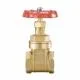 Van cổng DN25