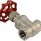 SS316 gate valve