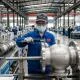 Stainless Steel Valve China chính hãng, van inox Trung Quốc chất lượng cao