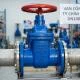 van-cong-ty-chim-bb-dn100