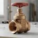 Gate Valve 50mm là gì? Cấu tạo, nguyên lý hoạt động và ứng dụng trong hệ thống đường ống