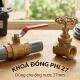 khoa-dong-27