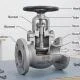 sdnr-globe-valves