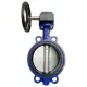Aut Valve
