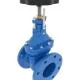 DN 100 Valve