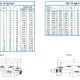 DN50 Flange