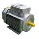 Động cơ Motor